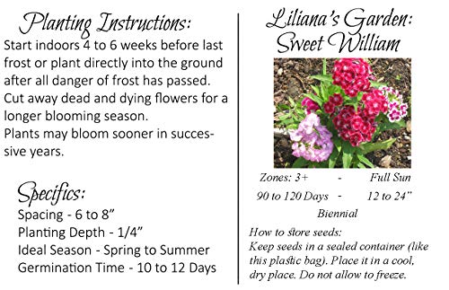 Flower Seeds - Sweet William Seeds- Mixed Colors - Dianthus Barbatus - Biennial - Liliana's Garden #TOP4