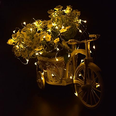 LED Copper Wire String Lights - 7ft 20LEDs Warm White TQS Lantern Fairy Starry Lights Decoration Battery Operated Indoor Outdoor for Bedroom Garden Patios Porch Wedding Tree Dancing Party Christmas Cover