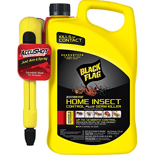 10 Best 10 Black Flag Insect Fogger 10 of 2022