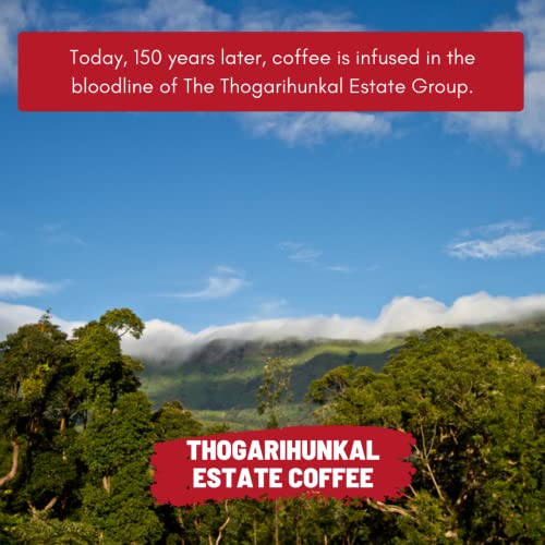 Image of Thogarihunkal Estate Coffee | Toffee Coffee Roasters | Single Origin Coffee | 100% Arabica | Medium Roast | Grounded Coffee Notes: Citrus and Orange Blossom (Decoction Coffee Maker, 500)