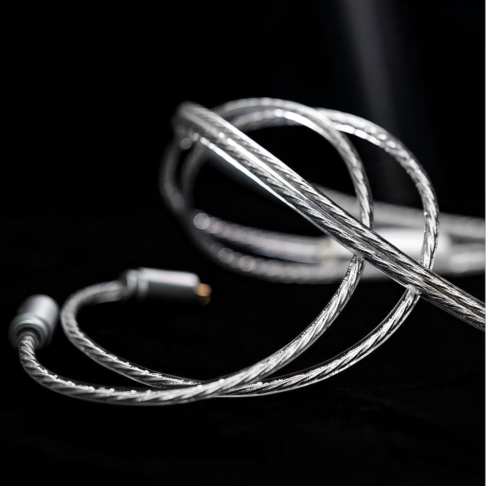 BGVP P05 Single Dynamic Driver in Ear Monitor Earphones, 10mm PU+Ceramic DD IEM Earbuds with Adjustable Tuning Filter and Interchangeable MMCX Cable (3.5mm with Mic)