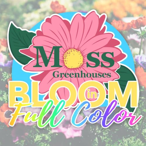 Bloom in Full Color copertina