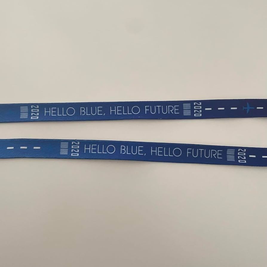 ANA 2020 限定ストラップ 51rmg7CrCeL._UF894,1000_QL80_.jpg