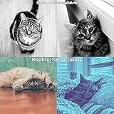 Echt Gestresste Katzen