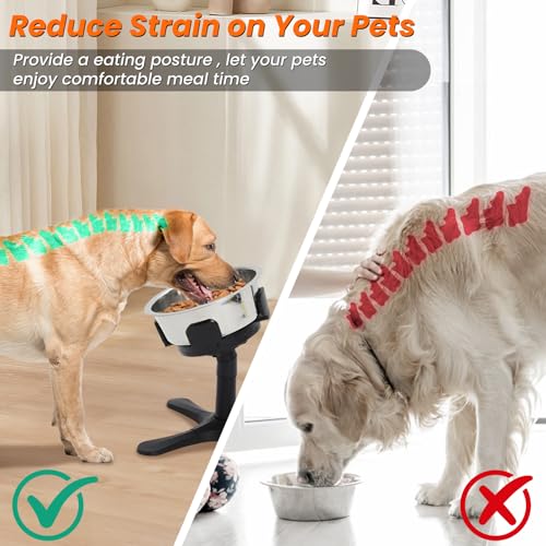 Gamelle surélevée réglable pour chien, support robuste de qualité supérieure - 6