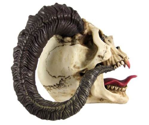 Estatua decorativa de calavera con cuernos de carnero 10.5 in miniatura 2