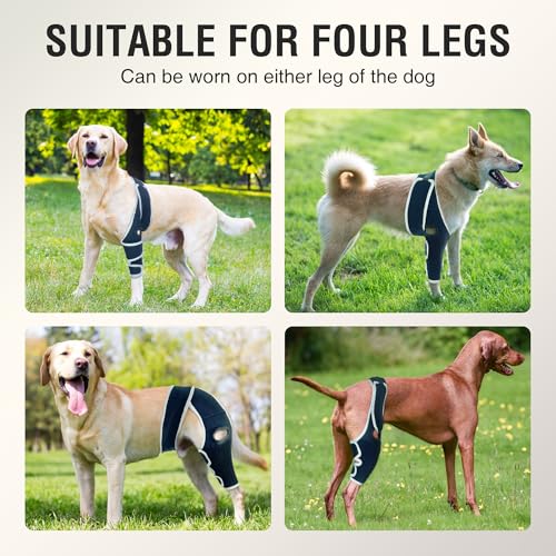 Dog Brace for ACL Tear Back Leg, Adjustable Dog Leg Brace for Front or Hind Leg, Dog Shoulder Brace, ACL Brace for Dogs Rear Leg to Provide Support, Promotes Recovery and Improve Joint Problems S - Thumbnail 5