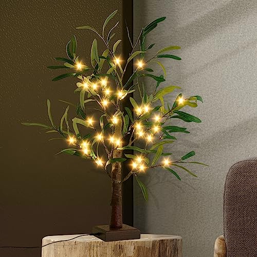 Reviews y listado de Bonsai olivo favoritos de las personas. 23 Bexdir Árbol de olivo iluminado con temporizador, luz de árbol de bonsái de 24.8 pulgadas, luz de mesa de árbol alimentado por USB, luz nocturna, planta artificial para el...