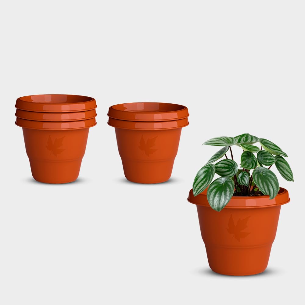 YUCCABE Italia Shera Flower Pots - Set of 3 -31 YUCCABE Italia Shera Flower Pots - Set of 3 -31