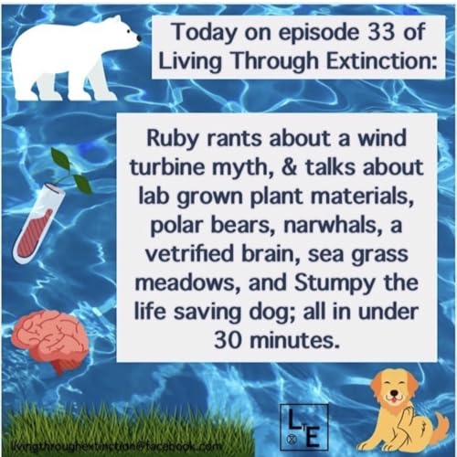 33 - Wind Turbine Lies, Vetrified Brains, Stumpy the Dog and more cover art
