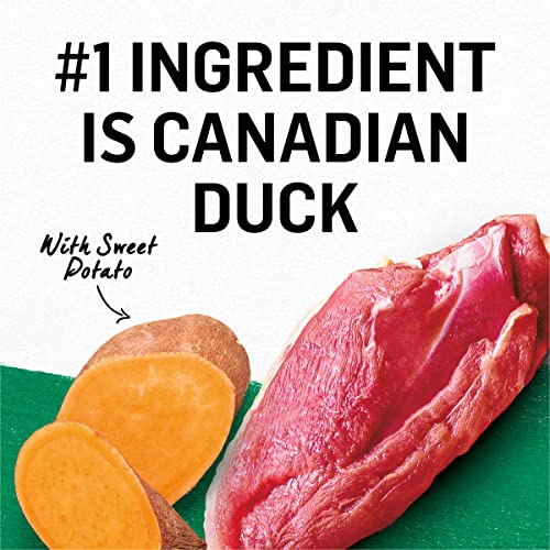 The 30 Best Duck Canned Cat Food of 2024 [Verified] Cherry Picks