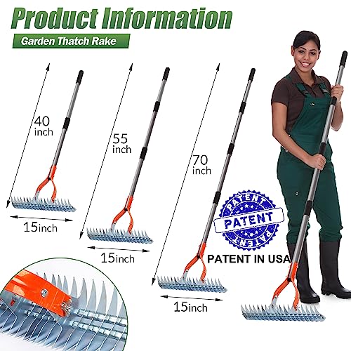 Image of Walensee 15-Inch Thatch Rake for Lawn, 19-Tine Dethatcher, 70-Inch Handle