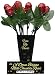 One Dozen Belgian Milk Chocolate Roses in Gift Box
