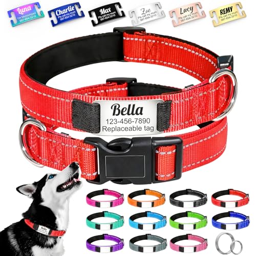 Collier Personnalisé Réfléchissant pour Chien – Plaque Gravées Remplaçables, Gravure Laser...