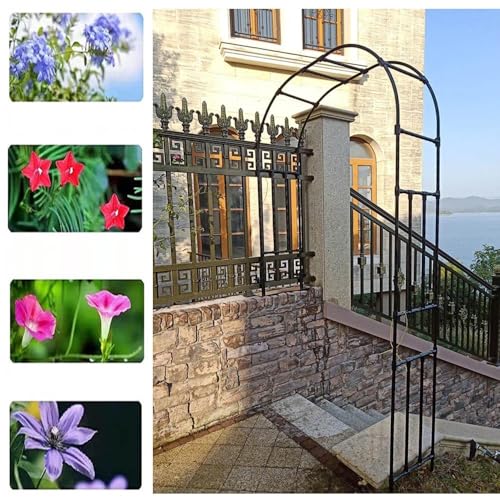 Arco de jardín de pared para aprovechar zonas estrechas y cultivar rosales trepadores 4