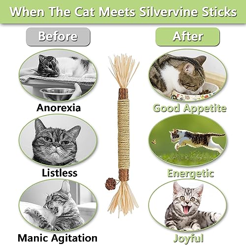 MarverFace 21 Stück katzenminze Sticks, katzenminze matatabi Spielzeug – Ansicht 3