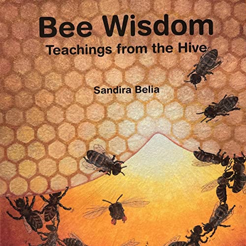 Bee Wisdom by Sandira Belia episode artwork