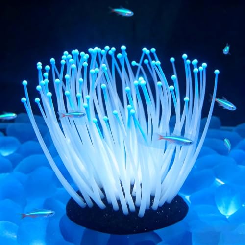 Image of 2PCS Artificial Silicone Anemone Coral Plant Glowing Fish Tank Decor | Artificial Soft Glow Aquarium Decorations,Silicone Simulation Sea Anemone Coral Ornament for Fish Tank Decor
