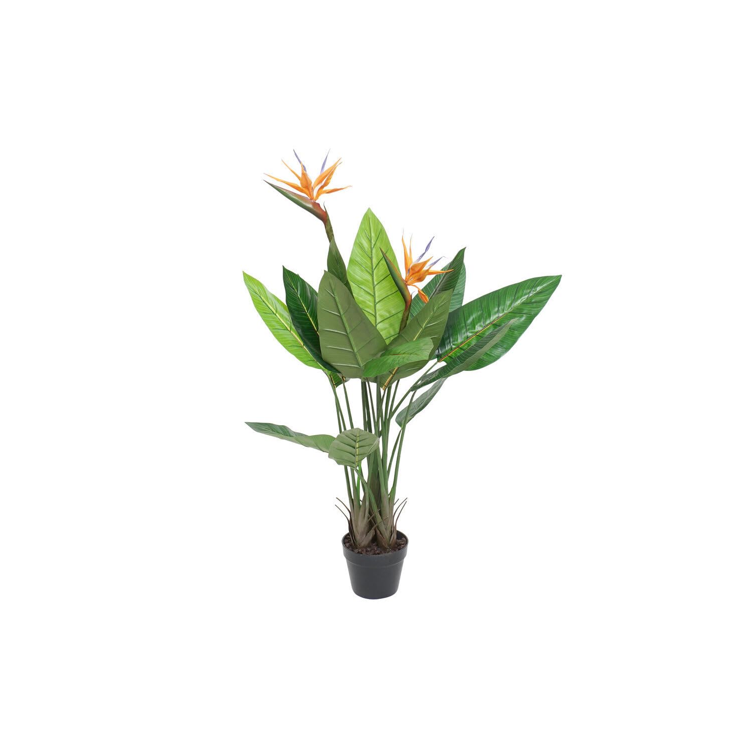 Strelitzia en PVC 80x80x120 Planta sans entretien pour intérieur