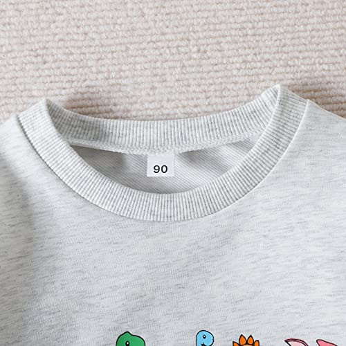 sfdgfhyf Toddler Newborn Infant Cartoon Prints Outfits Boys Sweatshirt Pullover Hoodie Tops Cute Clothes 4t2