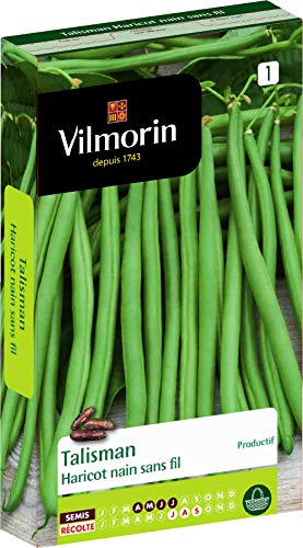 Vilmorin Haricot Talisman Boite 140g, Vert