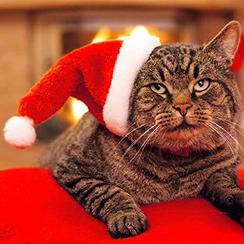 Disfraz para mascota con gorro navideño rojo ajustable miniatura 3