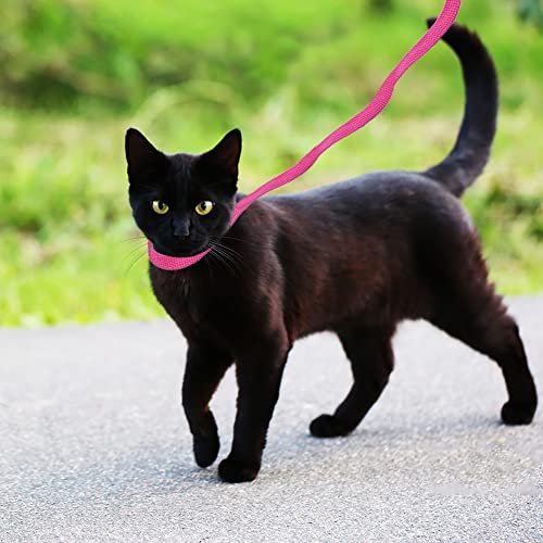 Image of Litewoo 6 Packs Slip Lead Dog Leash, Durable and Comfortable for Cats, Dogs and Other Small Animals