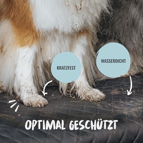 Rudelkönig Kofferraumschutz Hund mit Ladekantenschutz - Wasserabweisend & Kratzfest - Gesteppte Auto Hundedecke mit Tasche - Universale Kofferraum Schutzmatte für Hunde