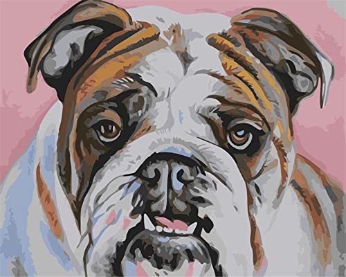 Broderie diamant bouledogue 5D, le cadeau d'anniversaire personnalisable idéal