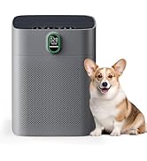MORENTO Air Purifiers for Bedroom Home Large Room up to 1076 Sq Ft PM 2.5 Display Air Quality Sen...