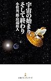 宇宙の始まり、そして終わり (日本経済新聞出版)