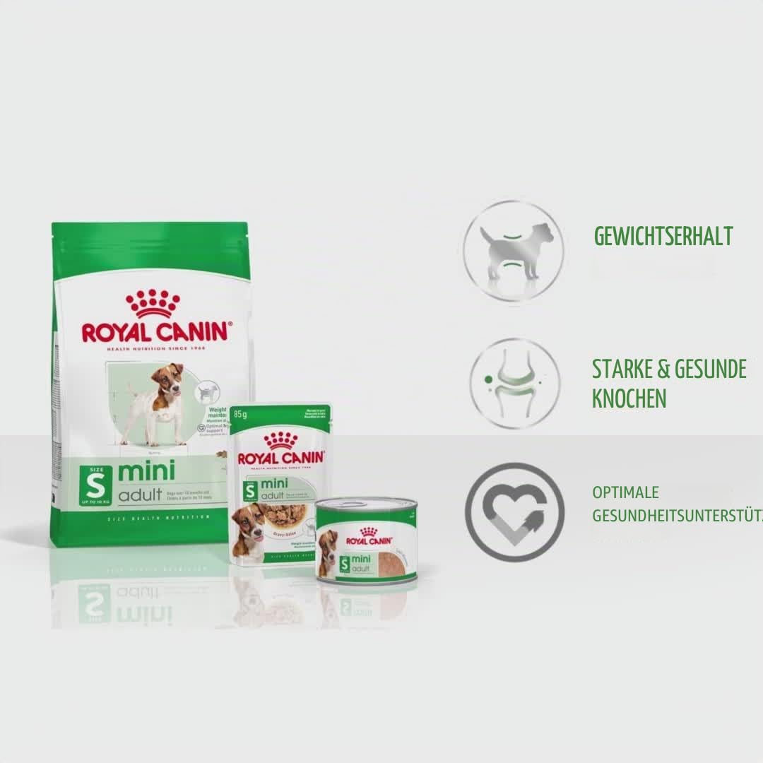 Royal Canin Mini Adult en Salsa | Pack de 4 | 4 x 12 x 85 g | Comida húmeda para Perros pequeños Adultos (de 1 a 10 kg) | De 10 Meses a 12 años | Contenido energético Ajustado
