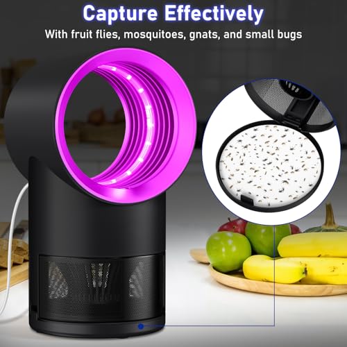 Image of Fruit Fly Trap Indoor Insect Trap with Suction, Time Setting, Bug Light,10 Sticky Glue Boards (Pink)