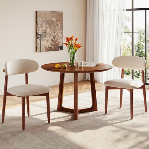 EURUIS Modern Wooden Dining Chairs