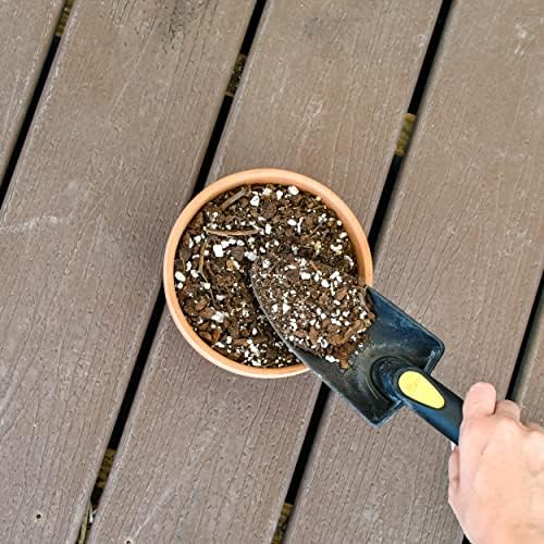 Best Soil For Lemon Tree Reviewed And Rated (Upd. 03162023) On Www