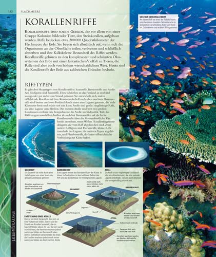 Ozeane: Die große Bildenzyklopädie mit über 2000 Fotografien und Karten: Vorw. v. Fabien Cousteau
