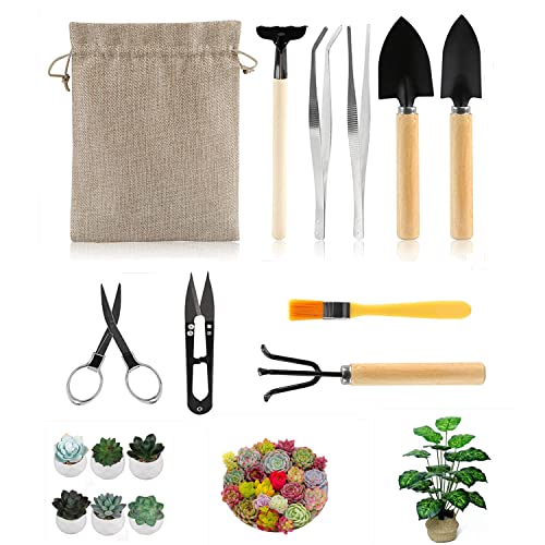 RUIYWEN Kits de 10 peças ferramentas de jardinagem mini ferramentas para bonsai, plantas suculentas, mudas, cato, vaso