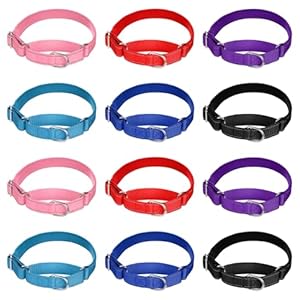 12 Pcs Martingale Collar for Medium Dogs Reflective Dog Collar with Durable Metal Buckle Adjustable Nylon Pet Prevent Slipping Out for Medium, 12 Colors