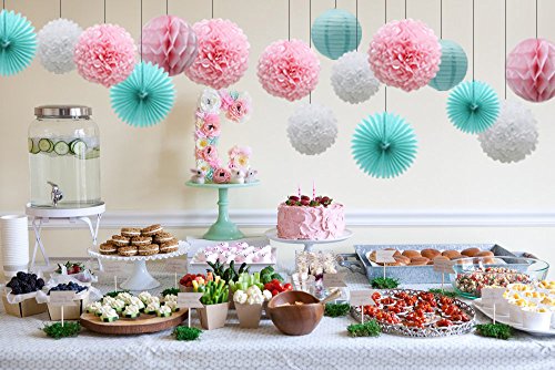 Teal Party Supplies For Bridal Baby Shower First Birthday Party Wedding Decorations (16Pcs) Paper Honeycomb Ball Pom Poms Flowers Paper Lanterns Hanging Tissue Fan #TOP2