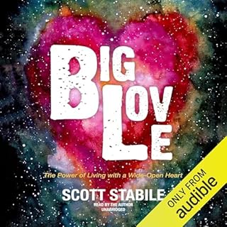 Big Love Audiolibro Por Scott Stabile arte de portada