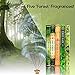 HEM Forest, Cedar, Pine, Rain Forest & First Rain Incense Sticks Combo – 5 Fragrances | 120 Sticks Total | Handcrafted, Long-Lasting Aroma for Meditation, Yoga, Relaxation & Home Freshness