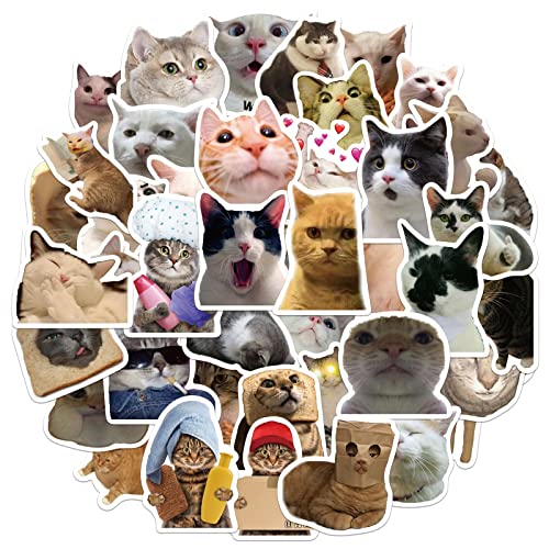 50Pcs Funny Meme Cat Stickers For Kids Teens Girls Laptop Waterproof Vinyl Decals For Water Bottle Travel Case Phone Scrapbook Guitar Birthday Party #TOP12