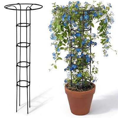 ElaraBerry 2 Pcs 63 Inch Garden Obelisk Trellis for Climbing Plants Outdoor, Mushroom Top Flower Trellis Rustproof Metal Tomato Trellises for Potted Plants Rose Climbing Vine Tomato Cucumber Grape