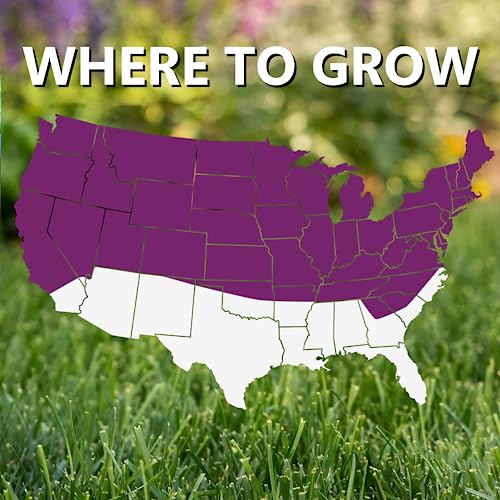 Grass Seed Blends For Cool-Season Climates