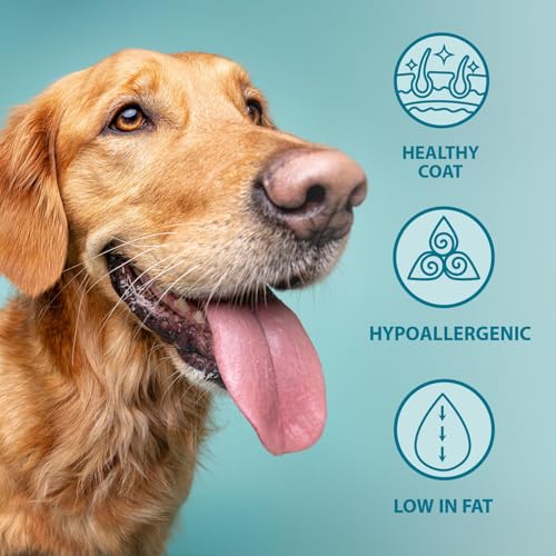 Burns Pet Nutrition Hypoallergenic Complete Dry Dog Food Adult and Senior Dog Original Chicken and Brown Rice 12 kg - Image 4