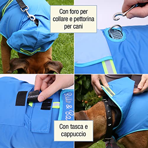 Bella & Balu Impermeabile Cane - Cappotto impermeabile per cani con cappuccio e catarifrangenti per protezione dal freddo, pioggia e neve in inverno e in vacanza. (L, Arancione)