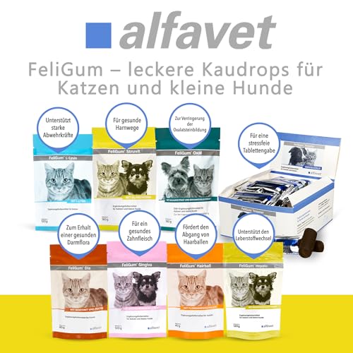 alfavet Feligum Struvit, Kaudrops zur Auflösung von Struvitsteinen, Katzen und kleine Hunde, 160g