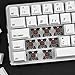 immagine 4Qisan Tastiera per Giochi Meccanici Tastierini per tastiere PBT 69 Tasti Interruttore Gateron Brown Tastiera per Giochi con Layout IT retroilluminato Bianco-Bianco