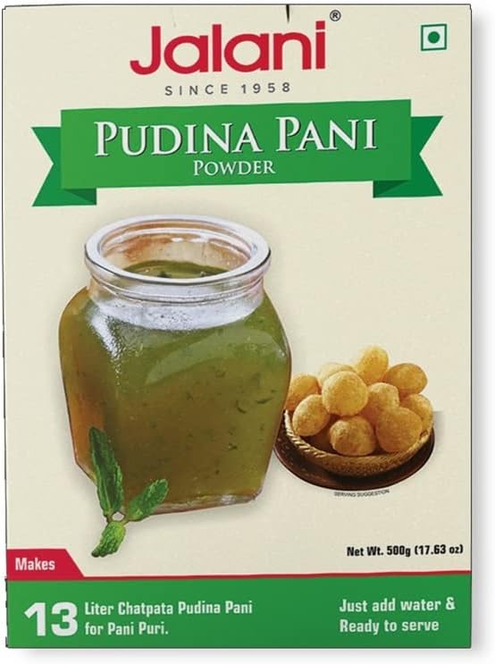 Pudina Pani Masala 500g Box