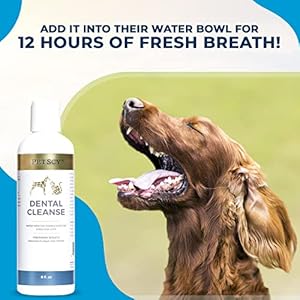 Petscy dental cleanse all natural cat dog tartar remover for teeth cat dog water additive for dental care suitable for all ages breeds sizes 8 oz  urban country home decor